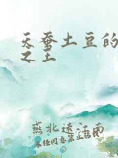 天蚕土豆的万相之王