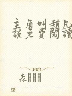 主角叫赵凡的小说免费阅读