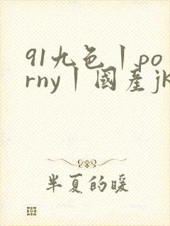 91九色丨porny丨国产jk
