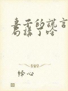 妻子的谎言大结局讲了啥