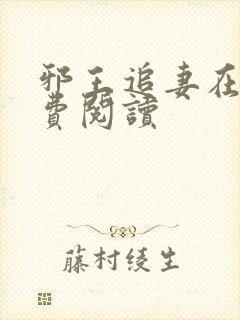 邪王追妻在线免费阅读
