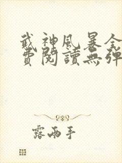 武神风暴全文免费阅读无弹窗笔趣阁