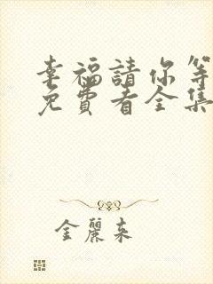 幸福请你等等我免费看全集