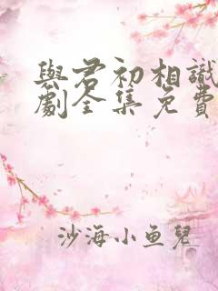 与君初相识电视剧全集免费观看