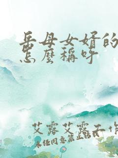 岳母女婿的关系怎么称呼