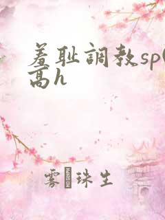 羞耻调教sp(高h