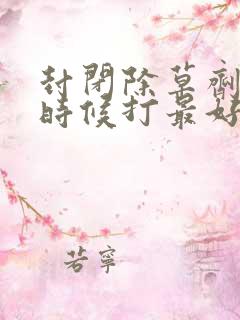 封闭除草剂什么时候打最好