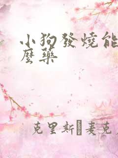 小狗发烧能吃什么药
