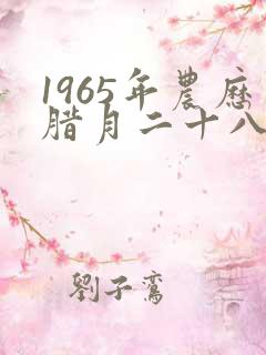 1965年农历腊月二十八命运