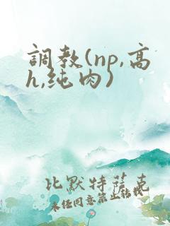 调教(np,高h,纯肉)