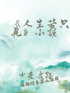 《人生若只如初见》小说