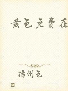 黄色免费在线网