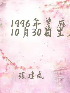 1996年农历10月30日生辰八字