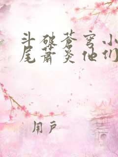 斗破苍穹小说结尾萧炎他们去哪了