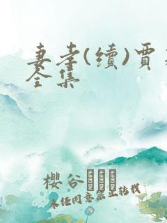 妻孝(续)贾莉全集