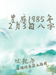 农历1985年2月3日八字运程