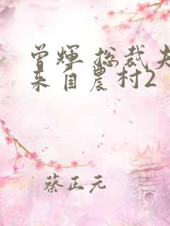 曾辉 总裁夫人来自农村2