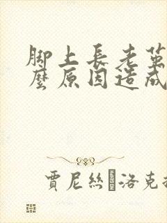 脚上长老茧是什么原因造成的