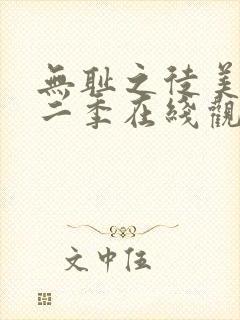 无耻之徒美版第二季在线观看