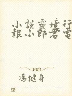 小说灵境行者卖报小郎君电子书下载