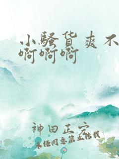 小骚货爽不爽啊啊啊啊