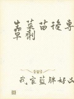 生菜苗后专用除草剂