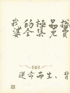 我的极品总裁老婆全集免费