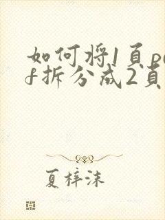 如何将1页pdf拆分成2页