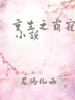 重生之霸宠巨星 小说