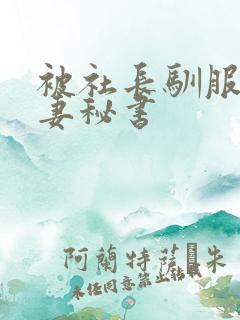 被社长驯服的人妻秘书