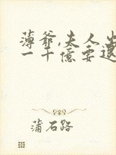 薄爷,夫人出价一千亿要退婚全文阅读免费