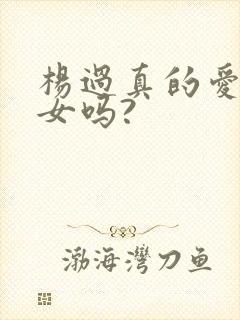 杨过真的爱小龙女吗?