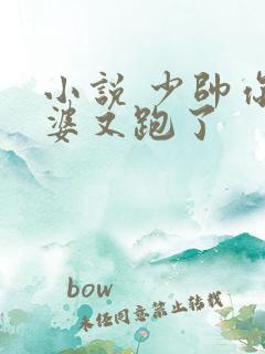 小说 少帅你老婆又跑了