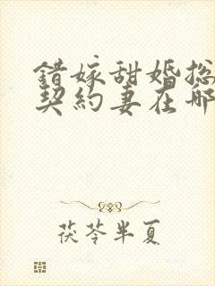 错嫁甜婚总裁的契约妻在哪看