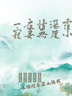 一夜情深霍先生宠妻无度小说免费阅读