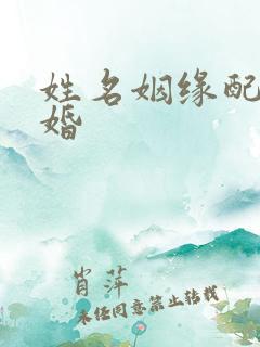 姓名姻缘配对合婚