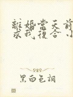 离婚当天前夫跪求我复合 小说阅读