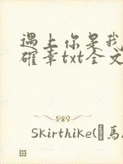 遇上你是我的小确幸txt全文下载