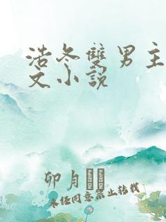浩冬双男主同人文小说