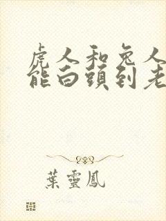 虎人和兔人婚姻能白头到老吗