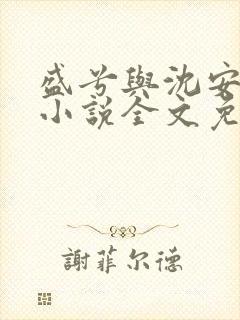 盛兮与沈安和的小说全文免费阅读