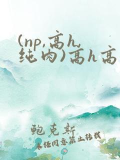 (np,高h,纯肉)高h高辣
