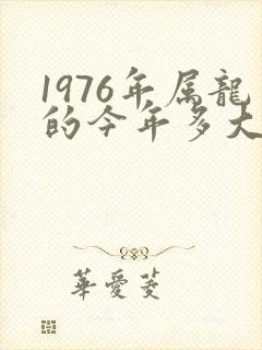 1976年属龙的今年多大了