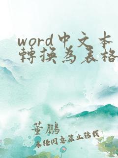 word中文本转换为表格