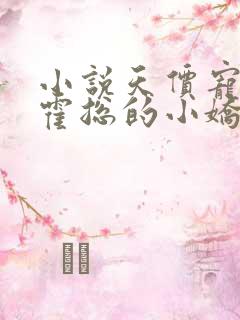 小说天价宠婚:霍总的小娇妻