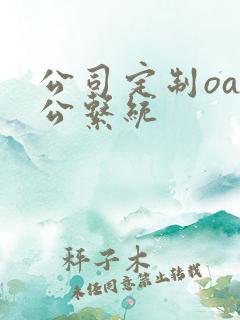 公司定制oa办公系统