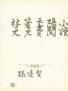 林萧季阳小说全文免费阅读