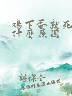 鸡下蛋就死了是什么原因