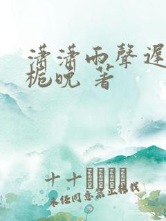 潇潇雨声迟 孟栀晚 著