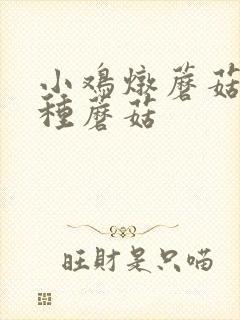 小鸡炖蘑菇选哪种蘑菇